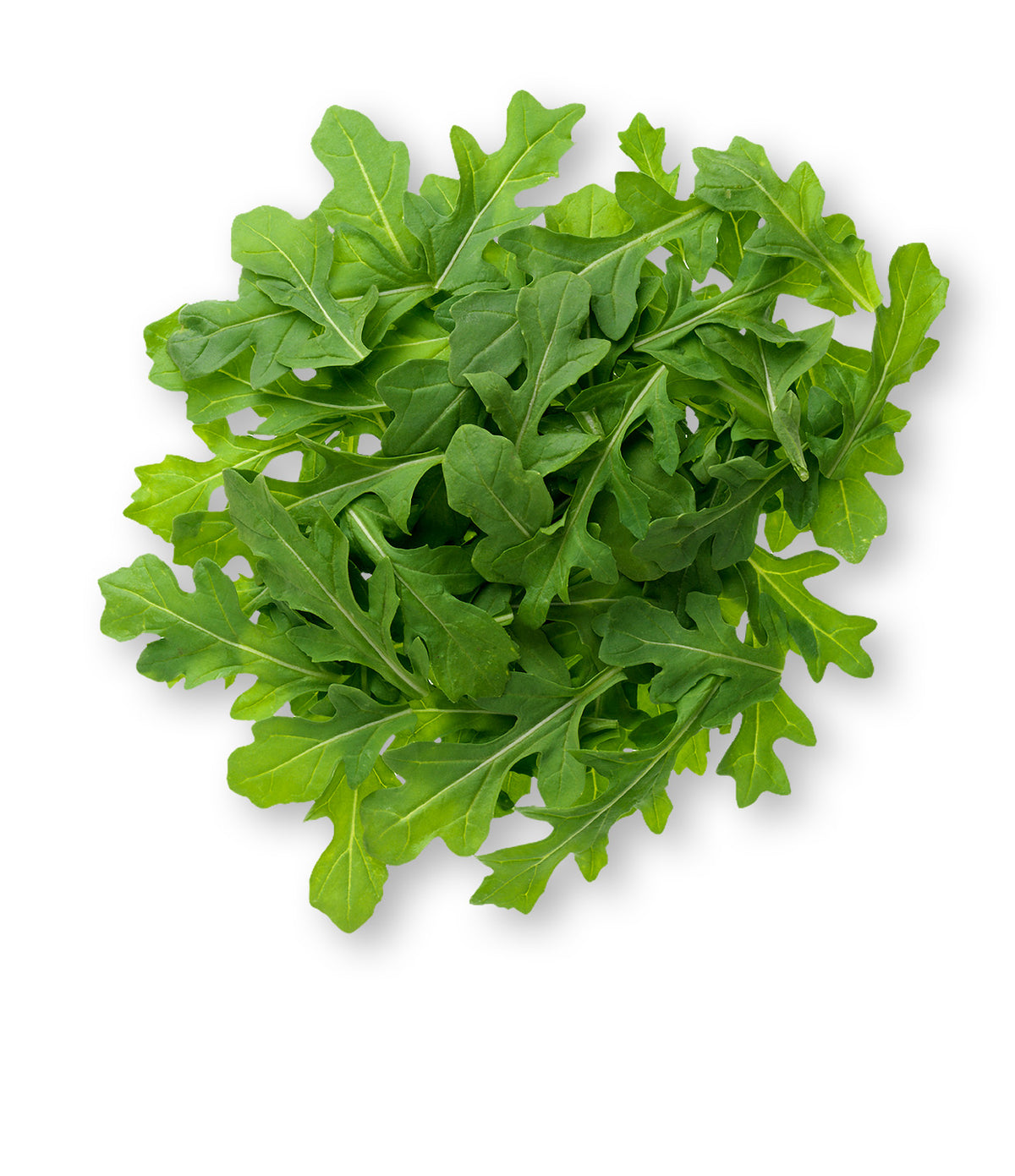 Arugula (5 oz)