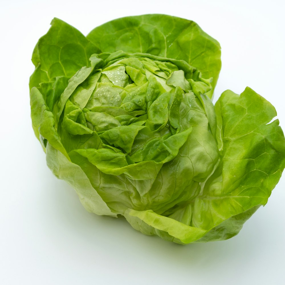 Head of lettuce