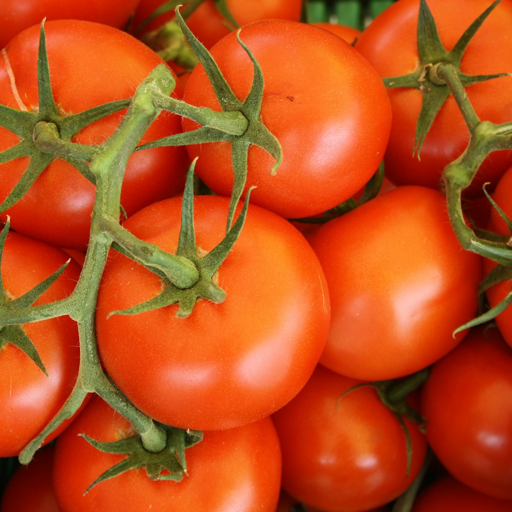 Tomatoes