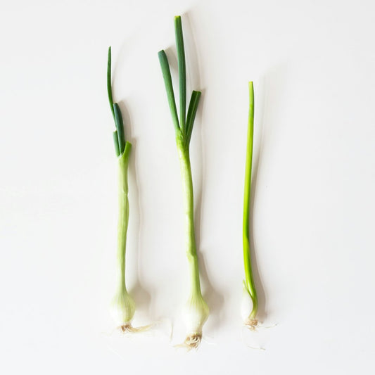 Scallions