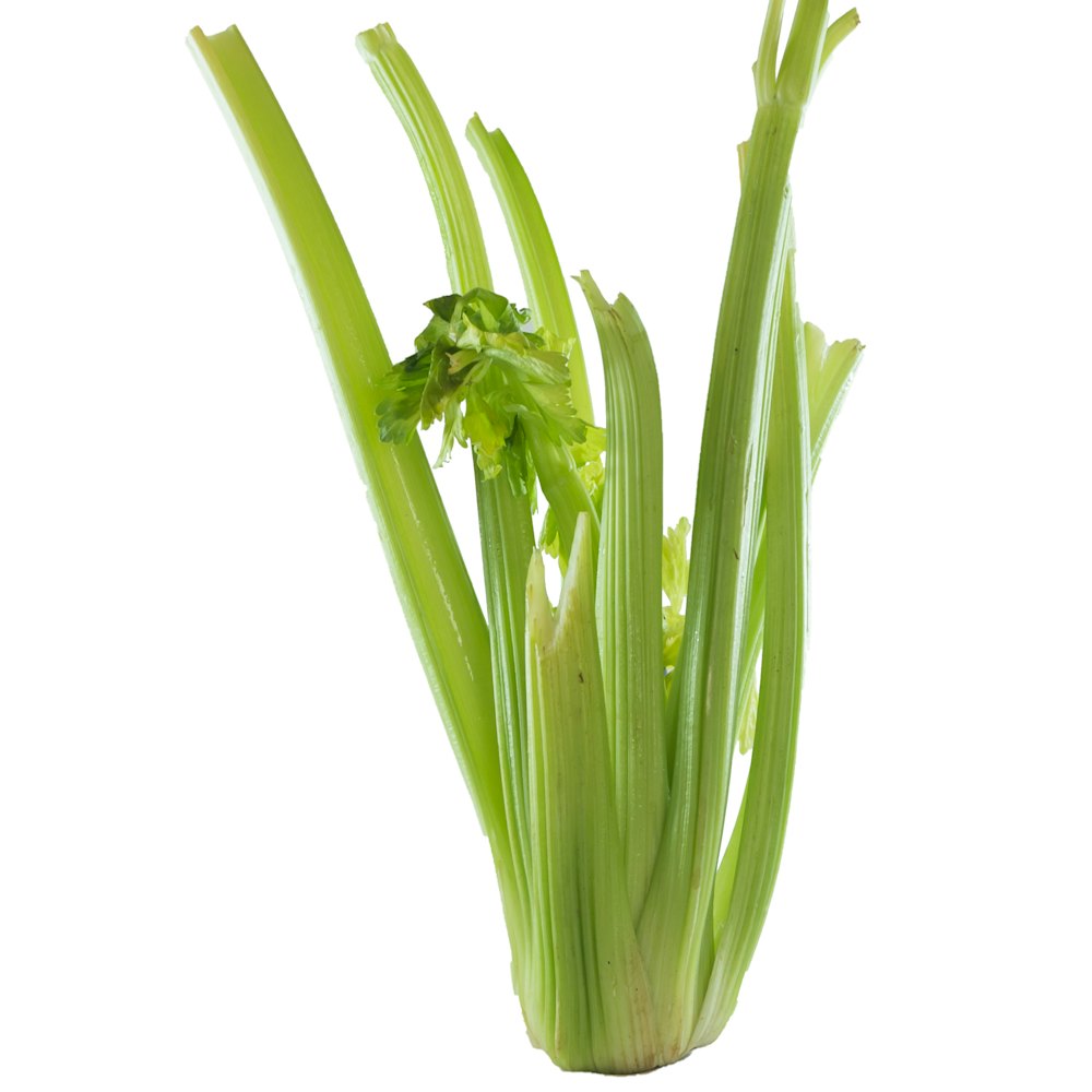 Bunch of celery